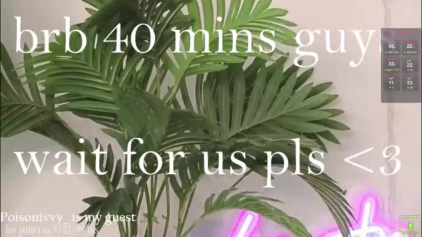 violetvio1ator Adult Chat December 19, 2025