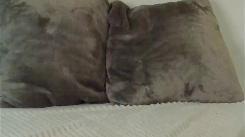 roxanelan Adult Chat December 19, 2025