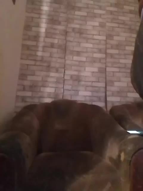 CerdAyaz Adult Chat December 19, 2025