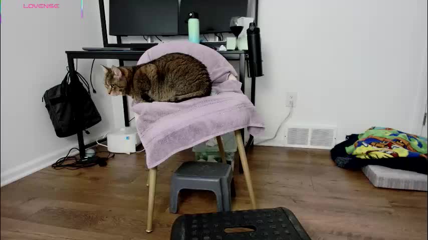 jjjust4fun1985 Adult Chat December 20, 2025