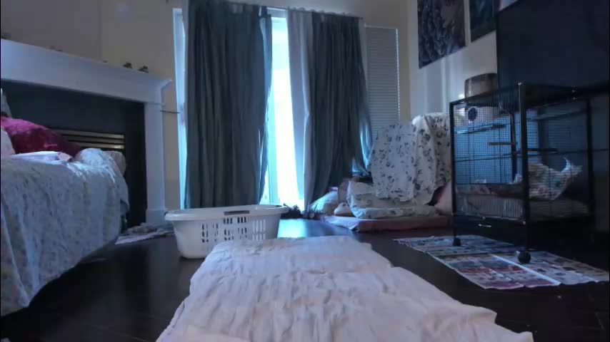 alizezaide Adult Chat December 20, 2025