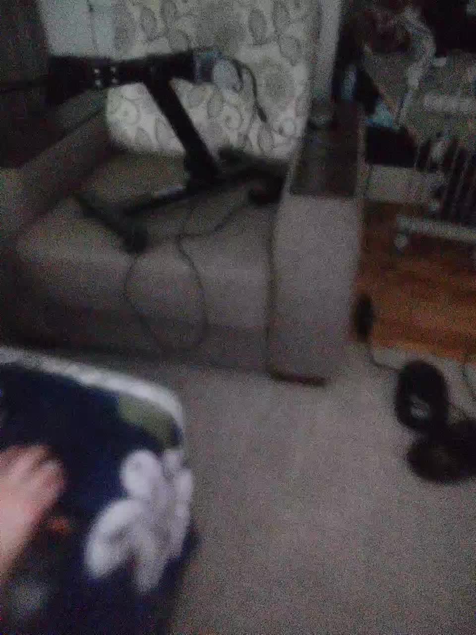 Oleg_lily Adult Chat December 20, 2025