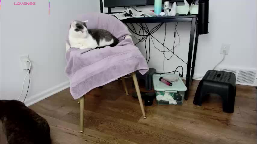 jjjust4fun1985 Adult Chat December 20, 2025