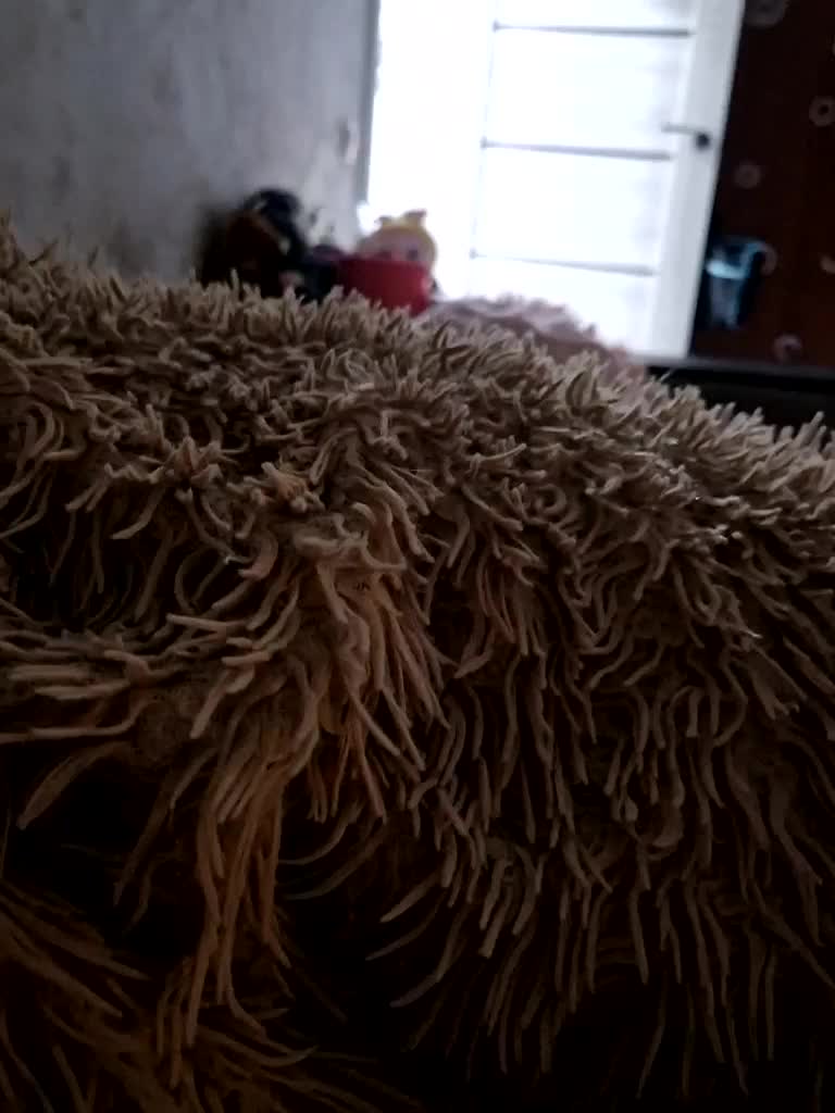 Para222a Adult Chat December 21, 2025