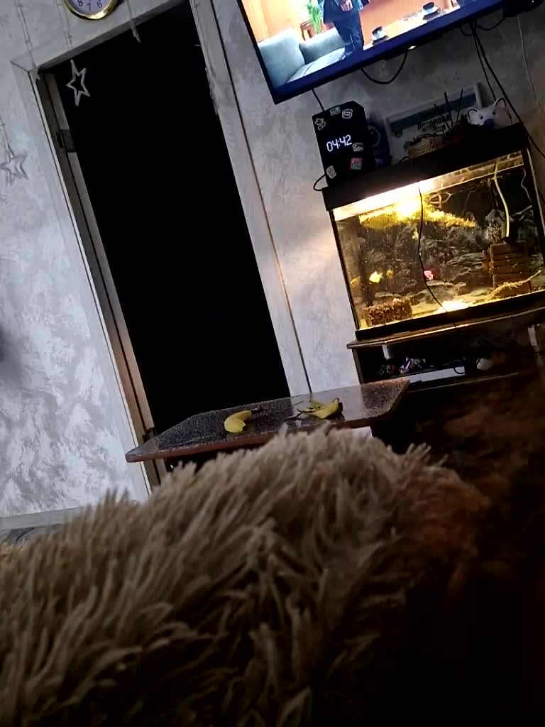 Para222a Adult Chat December 21, 2025