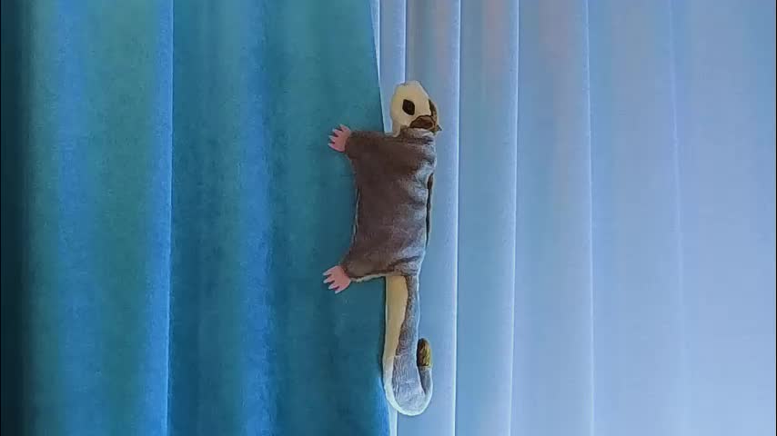 jolyndeb Adult Chat December 21, 2025