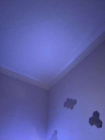 Enchantix Adult Chat December 22, 2025