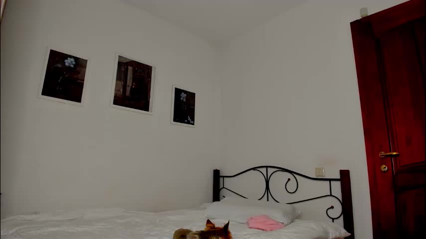 patricia_bloom Adult Chat December 22, 2025