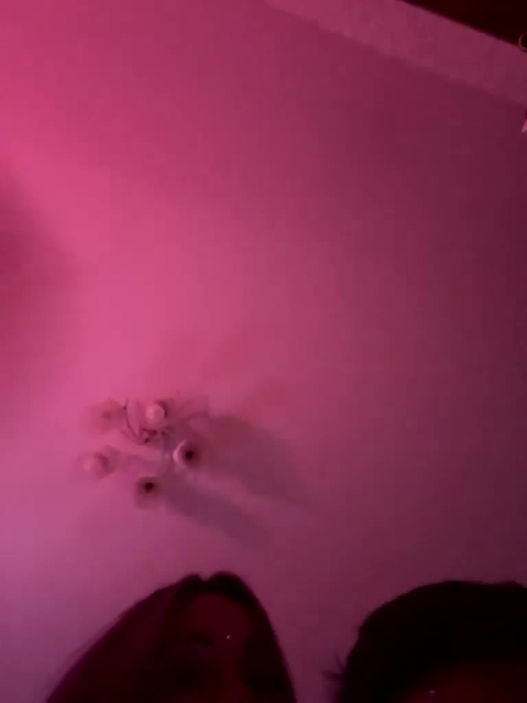 VIP17CoupleDream Adult Chat December 22, 2025