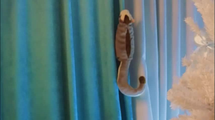 jolyndeb Adult Chat December 22, 2025