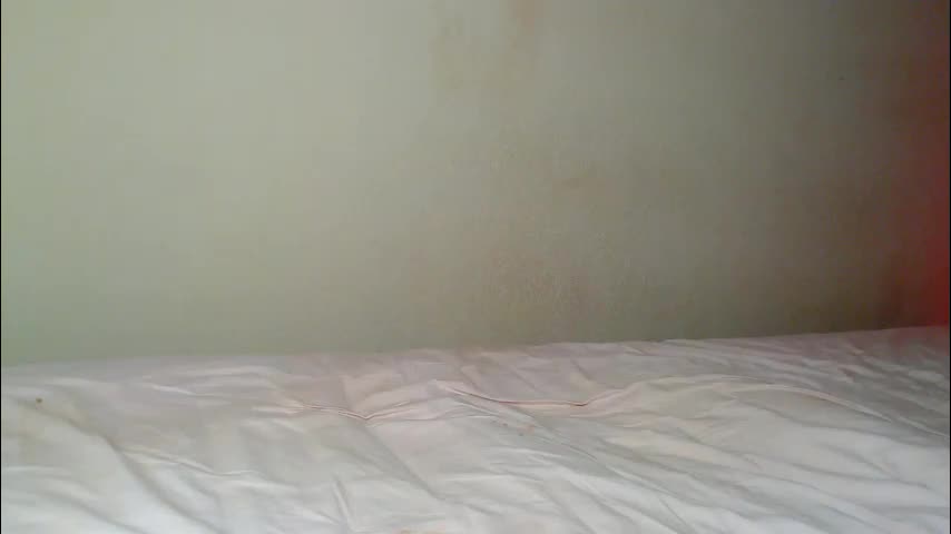 alicerabdit Adult Chat December 22, 2025