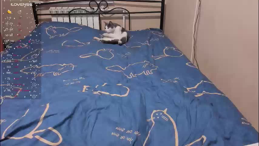 eva_zero Adult Chat December 22, 2025