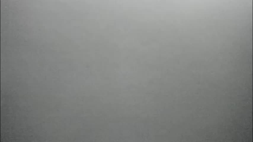 synop_sis Adult Chat December 23, 2025