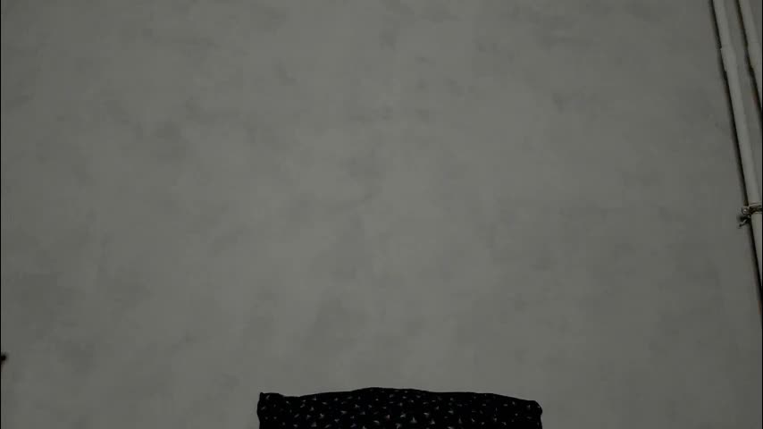 superior_cat Adult Chat December 23, 2025