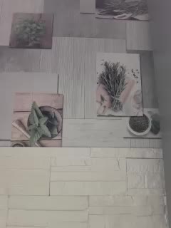 Anesteishen Adult Chat December 23, 2025