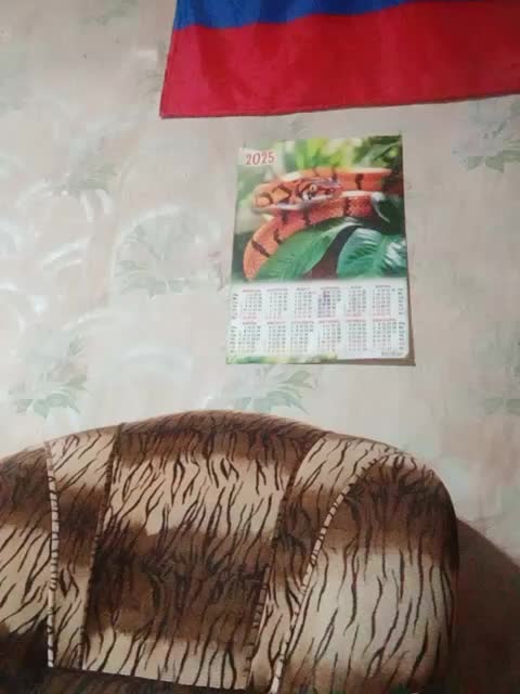 Calibriya Adult Chat December 23, 2025