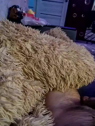 Para222a Adult Chat December 23, 2025