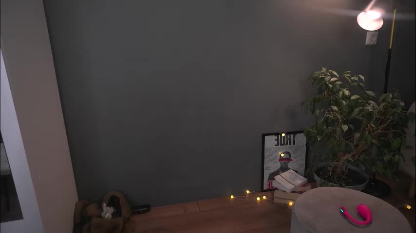 lisa_schiele Adult Chat December 23, 2025