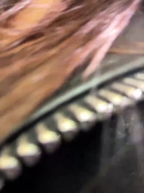 Marianna_ Adult Chat December 23, 2025