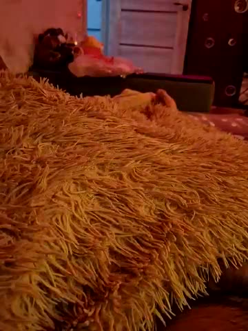 Para222a Adult Chat December 23, 2025