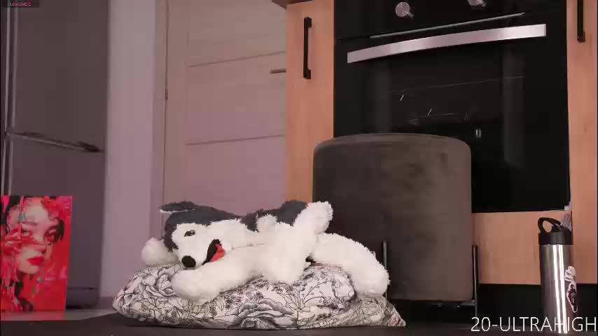 evahothead Adult Chat December 23, 2025