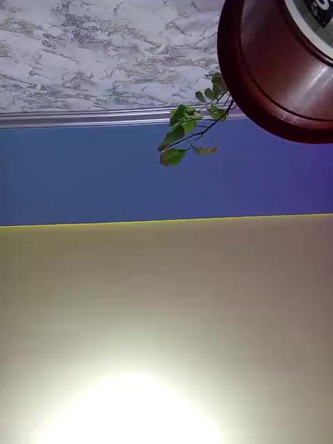 Sokovita Adult Chat December 23, 2025