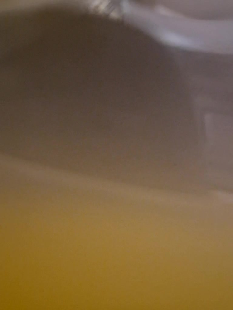 Para222a Adult Chat December 23, 2025