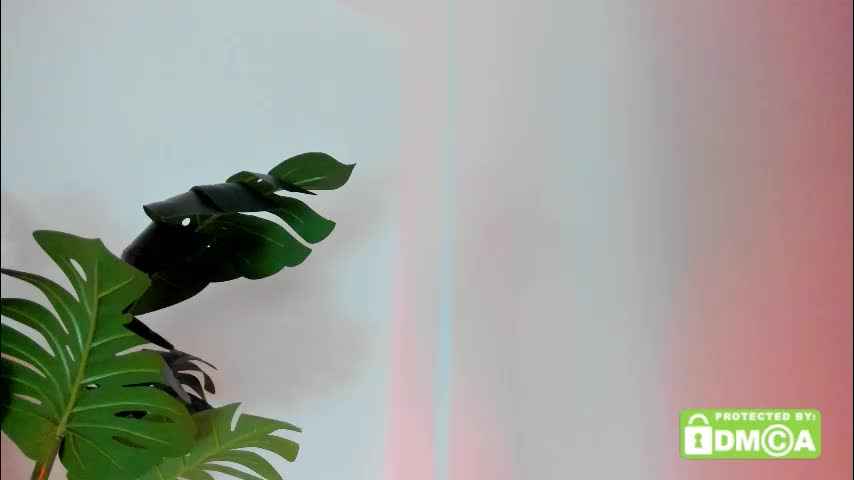 ashllovee_ Adult Chat December 24, 2025