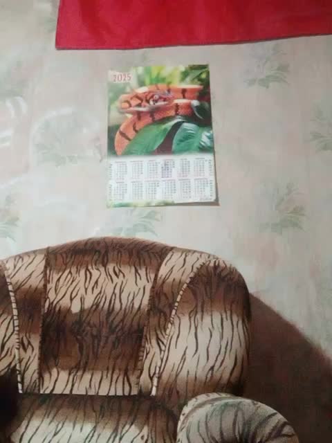 Calibriya Adult Chat December 24, 2025