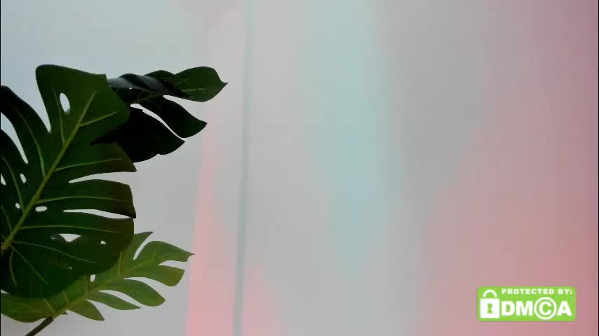 ashllovee_ Adult Chat December 24, 2025