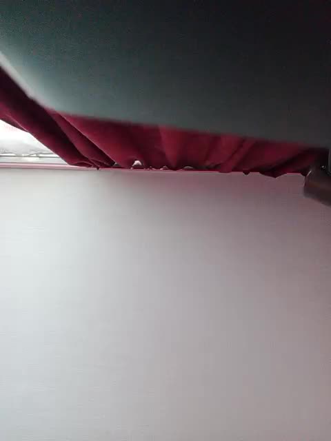 Veta-Viola Adult Chat December 24, 2025