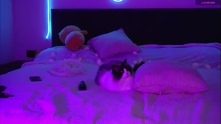 limy_sweet Adult Chat December 24, 2025