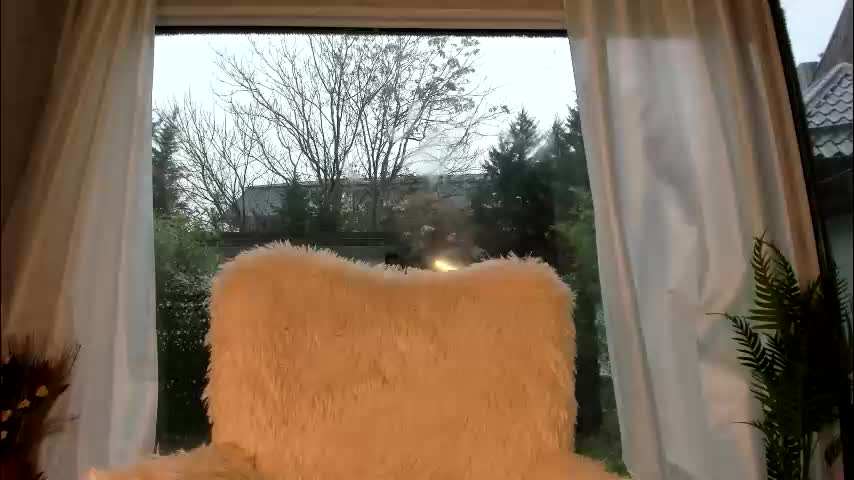 naila18 Adult Chat December 24, 2025