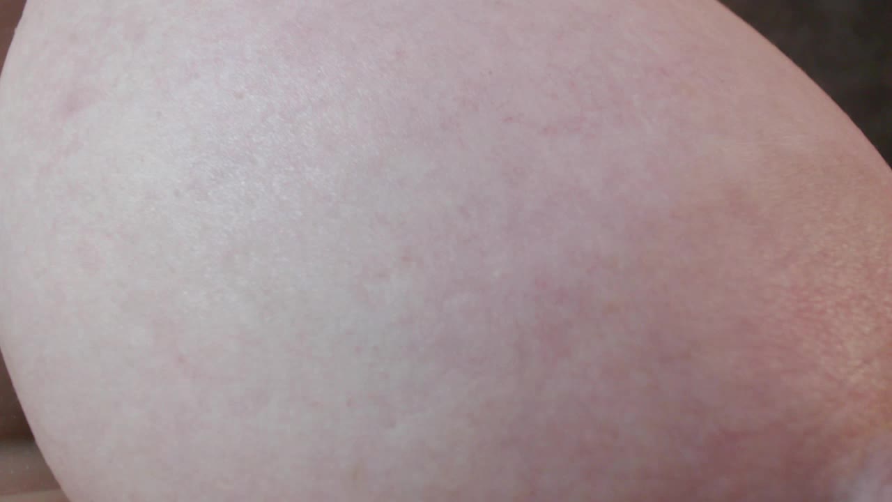 Tittii Adult Chat December 24, 2025