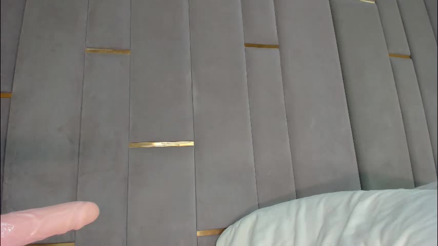 evalims Adult Chat December 24, 2025