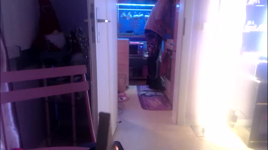 melli23 Adult Chat December 24, 2025