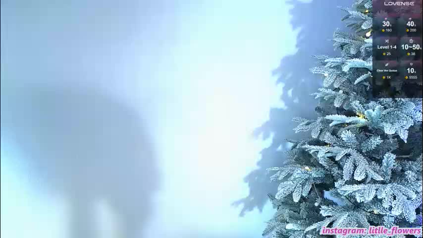 litlle_flowers Adult Chat December 24, 2025