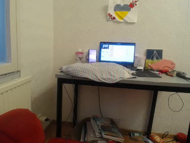 IrinaLitvinova Adult Chat December 24, 2025