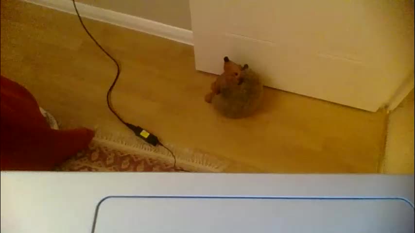 annecharlie Adult Chat December 24, 2025