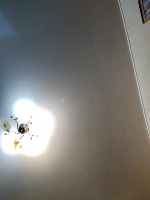 MilfaSguirt Adult Chat December 24, 2025