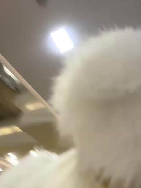 Tvoyasamka77 Adult Chat December 25, 2025