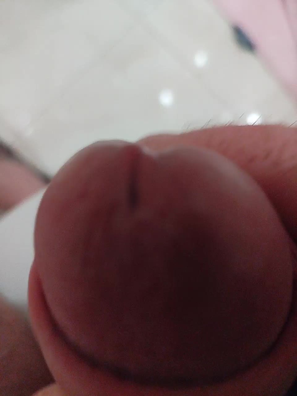 Paradise_1 Adult Chat December 25, 2025