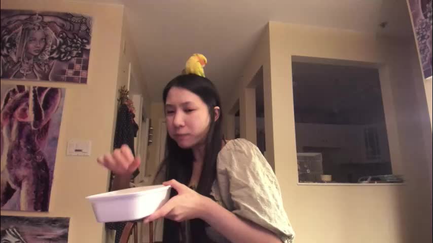 alizezaide Adult Chat December 25, 2025