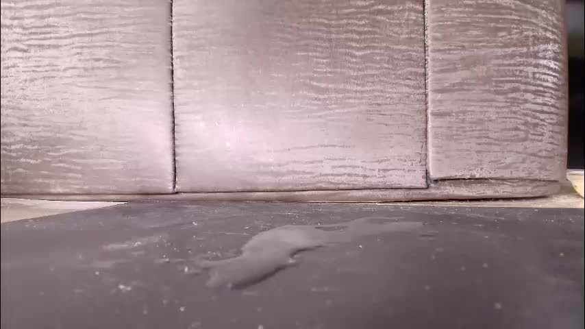 dayanna_sweet Adult Chat December 26, 2025