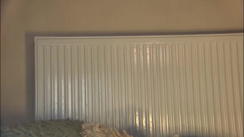 anaworld69 Adult Chat December 27, 2025