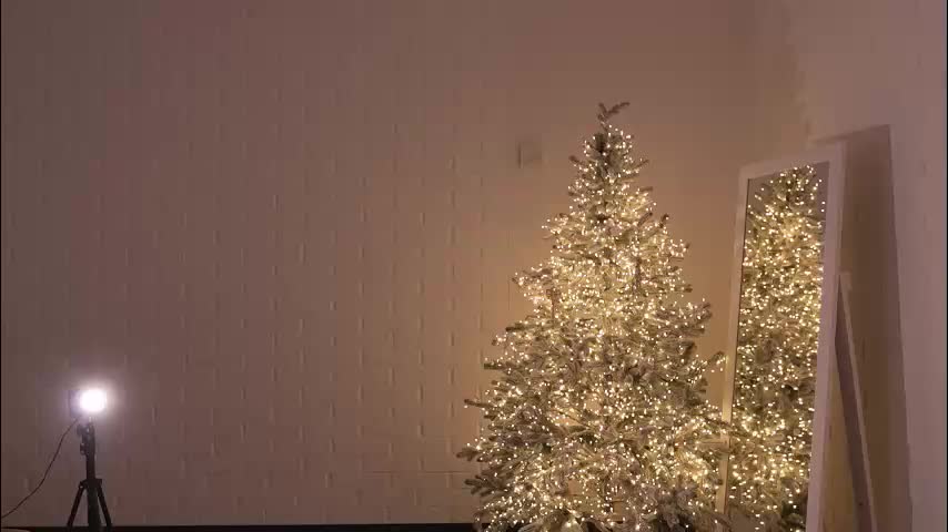 alissa_wxw Adult Chat December 27, 2025