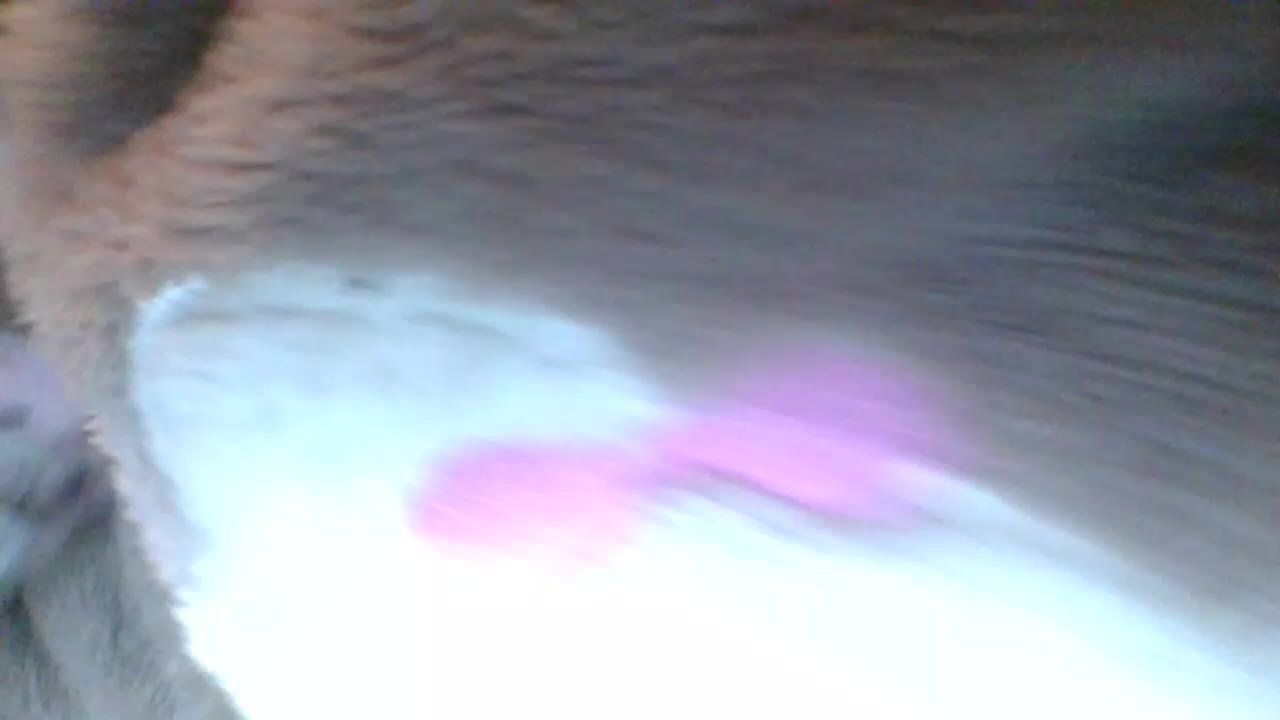 69Belka69 Adult Chat December 27, 2025