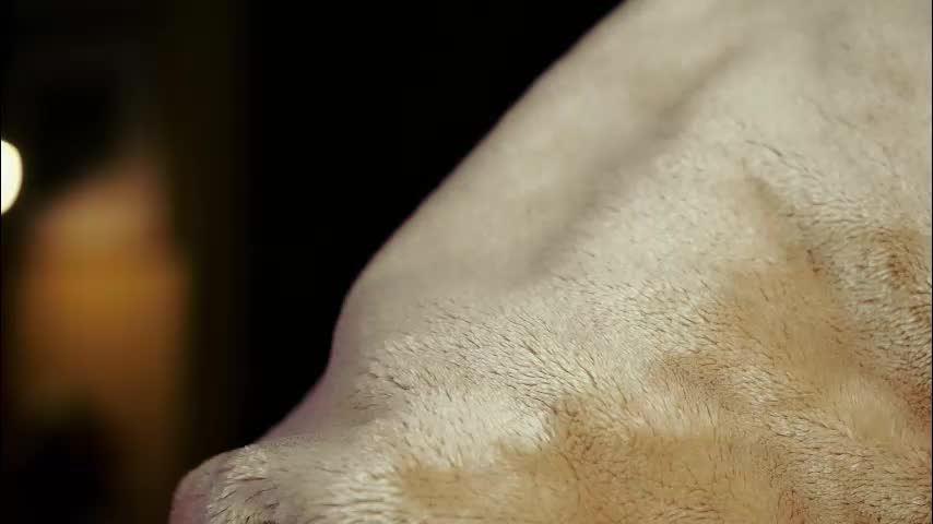 roxxxete Adult Chat December 27, 2025