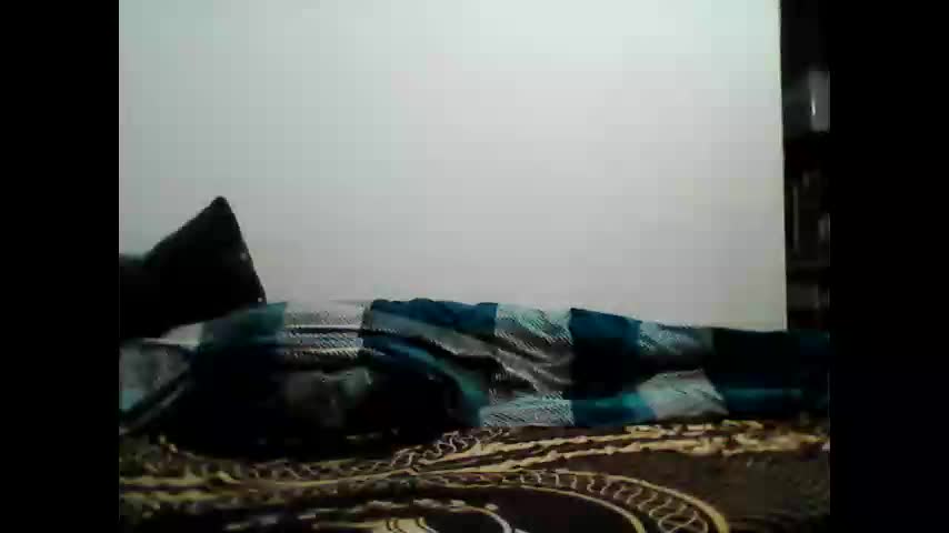 animus987 Adult Chat December 28, 2025