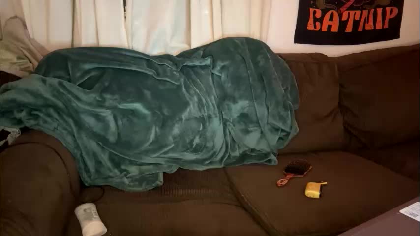 jackievilleof Adult Chat December 28, 2025